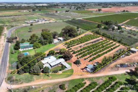 Property photo of 199 Pumps Road Red Cliffs VIC 3496