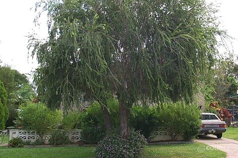 389 Diplock St, Frenchville, QLD 4701