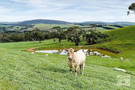 2297 Bull Creek Rd, Ashbourne, SA 5157