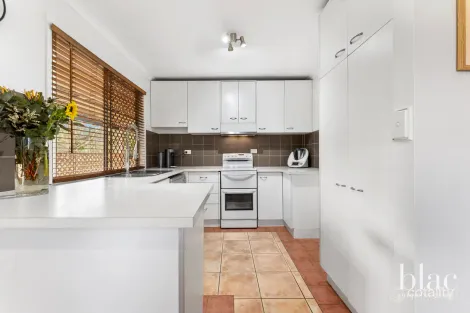 Property photo of 17 Arunga Street Petrie QLD 4502