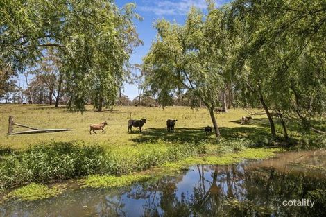 Property photo of 114 Parukala Road Mangrove Mountain NSW 2250