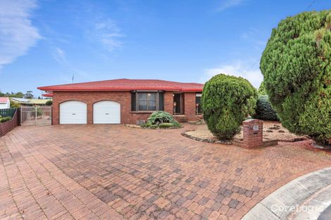 Property photo of 10 Diane Court Centenary Heights QLD 4350