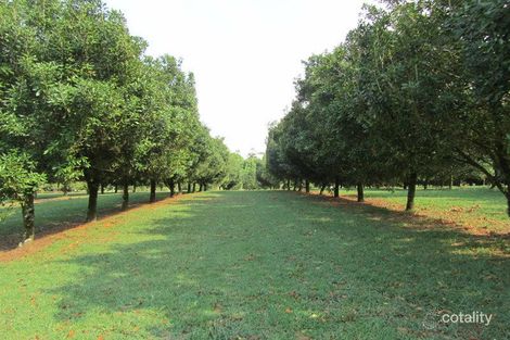 Property photo of 167 McLeans Ridges Road McLeans Ridges NSW 2480