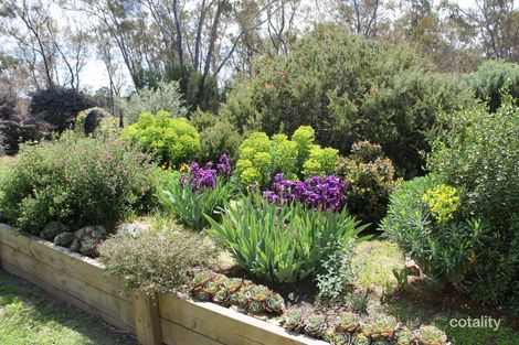 Property photo of 12 Boughyard Lane Heathcote VIC 3523