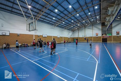 Property photo of 43 Australia Avenue Modbury SA 5092