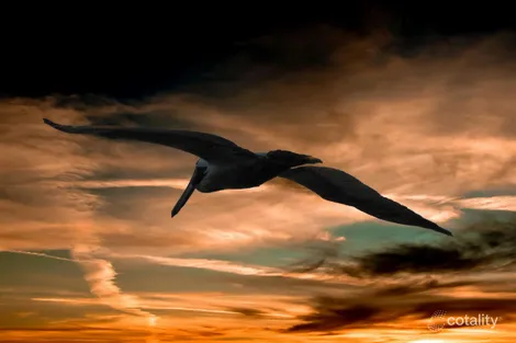 Property photo of 111 Panorama Drive Thornlands QLD 4164