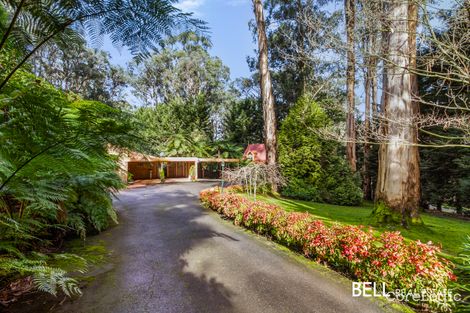 11 Doonaha Rd, Cockatoo, VIC 3781