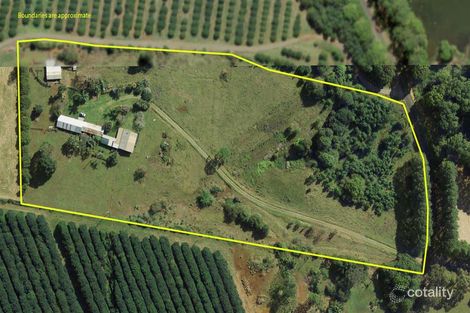 299 Friday Hut Rd, Brooklet, NSW 2479