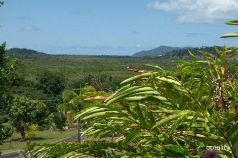 Property photo of 79 North Hull Road Carmoo QLD 4852