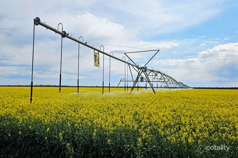 360 Rangemore Rd, Calimo, NSW 2710