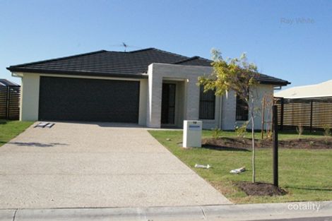 Property photo of 19 Dewdrop Place Ningi QLD 4511