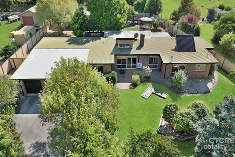Property photo of 13 McLaughlins Road Newmerella VIC 3886