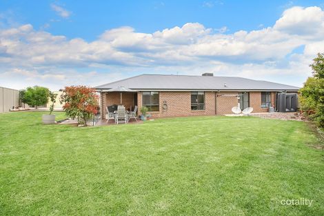 Property photo of 19 Angus Court Thurgoona NSW 2640