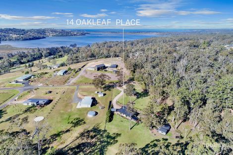 Property photo of 14 Oakleaf Place Millingandi NSW 2549