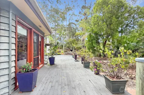 Property photo of 12 Burri Palm Way Surfside NSW 2536