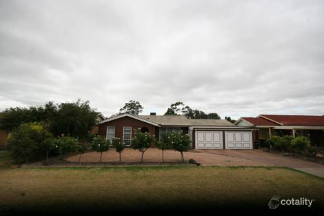 33 Oliphant Ave, Marion, SA 5043