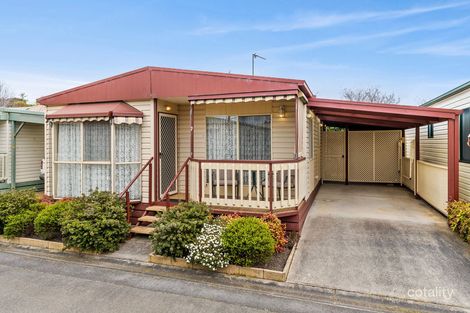 7/59 Barrabool Rd, Belmont, VIC 3216