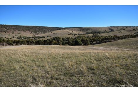 Property photo of 273 Mine Road Palmer SA 5237