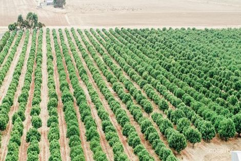 65 Orchard Rd, Booborowie, SA 5417