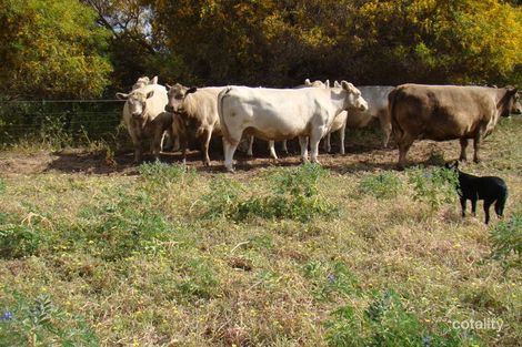 Property photo of 1524 Arthur Road Bootenal WA 6532