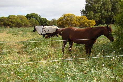 Property photo of 1524 Arthur Road Bootenal WA 6532