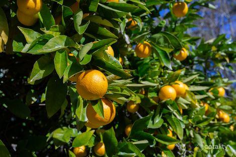 Property photo of 1010 Kangaroo Valley Road Bellawongarah NSW 2535