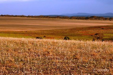 332 Angle Rd, Neales Flat, SA 5374