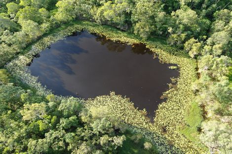 Property photo of 218 Wallins Road Hampden QLD 4741