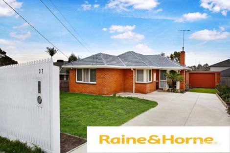 Property photo of 37 Ian Grove Mount Waverley VIC 3149