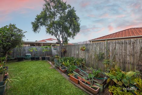 Property photo of 20 Rose Crescent Fitzgibbon QLD 4018