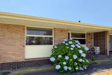 3/46 Ipsen St, Manjimup, WA 6258