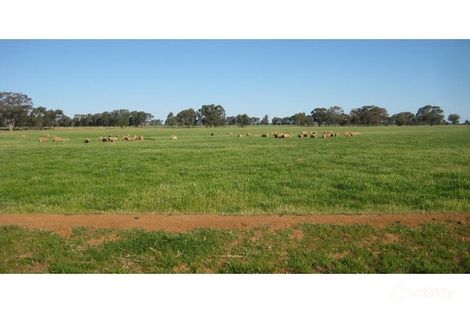 Property photo of 520 Thyra Road Moama NSW 2731