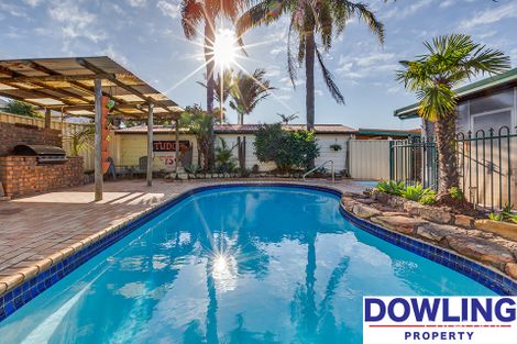 Property photo of 46 Kookaburra Parade Woodberry NSW 2322