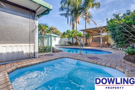 Property photo of 46 Kookaburra Parade Woodberry NSW 2322