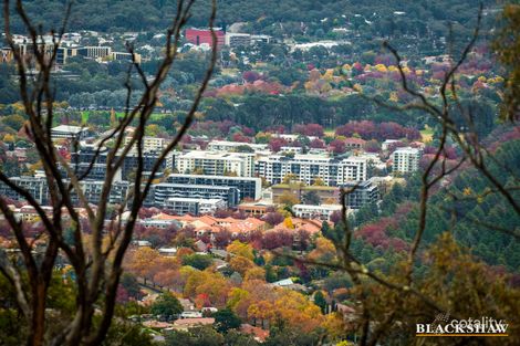 703/51 Mort St, Braddon, ACT 2612