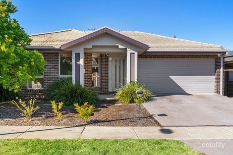 Property photo of 14 Marcus Street Forde ACT 2914