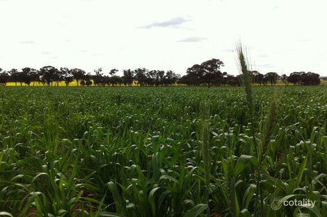 2460 Old Narrandera Rd, Currawarna, NSW 2650