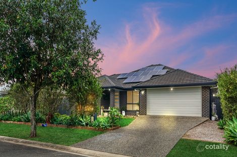 Property photo of 20 Leopardtree Drive Upper Caboolture QLD 4510