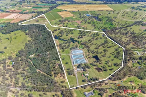 705 CUT HILL RD, COBBITTY, NSW 2570