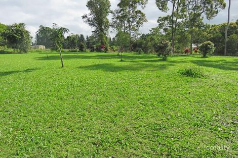 Property photo of 14 Figtree Close Malanda QLD 4885