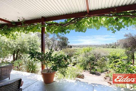 Property photo of 389 Moppa Springs Road Moppa SA 5355