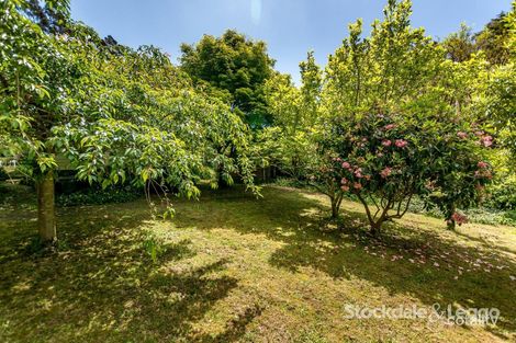 Property photo of 1652 Bulga Park Road Balook VIC 3971