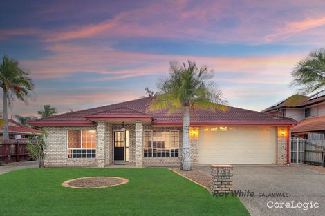 15 Aronia Ct, Regents Park, QLD 4118