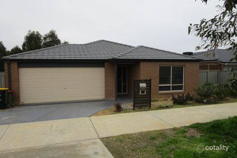 Property photo of 12 Klim Avenue Kangaroo Flat VIC 3555