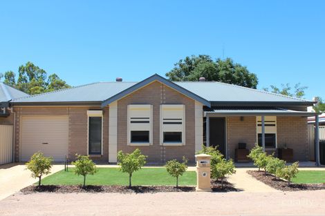 Property photo of 25 South Street Risdon Park SA 5540