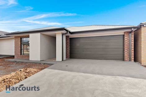 17 Amethyst Rd, Cobblebank, VIC 3338