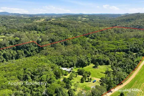 41 Ford St, Elands, NSW 2429