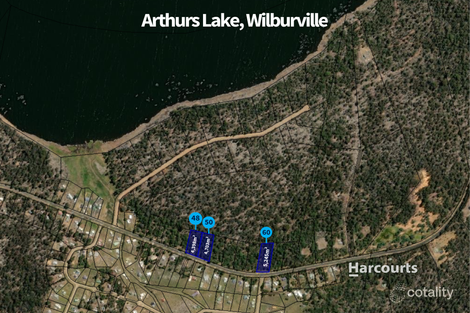 Property photo of 50 Arthurs Lake Road Wilburville TAS 7030