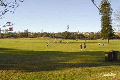 Property photo of 4/237 Darley Road Randwick NSW 2031