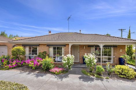 1/133 Aberdeen St, Newtown, VIC 3220